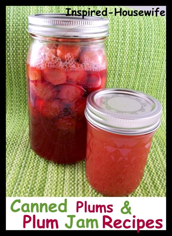 Low Sugar Plum Jam And Canned Plums Recipes